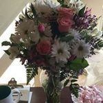 Gerry Ewert - @gerryewert - Instagram