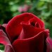 Ward Gory - Facebook