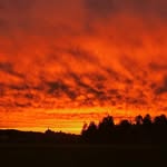 gerry_farmer - @gerry_farmer_74 - Instagram