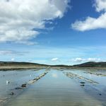 Gerry Fitz - @gerry_fitz_ - Instagram