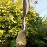 Gerry Fitzpatrick - @fitzpatrick_gerry - Instagram