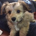 Gerry Fitzpatrick - @gerry.fitzpatrick.31 - Instagram