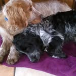 Gerry Fitzpatrick - @gerry.fitzpatrick.338 - Instagram