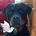 Gerry Fowler - Facebook
