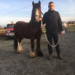 Gerry Gannon - @gannon3446 - Instagram