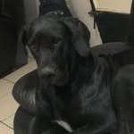@gerry_garay01 - Instagram