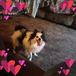 Jerry Glover - @jerry.glover.395 - Instagram