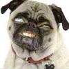 Gerry Gonzalez - @geereyy.gonzalez - TikTok