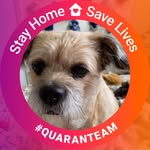 Gerry Graham - @gerrygraham12 - Instagram
