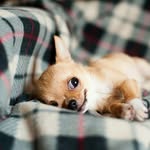Thanks - @gerrygraham - Instagram