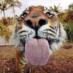 gerry - @gerry_mine_gregory - Instagram