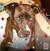 Gerry Haley - Facebook