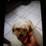 Jerry Hatfield - @jerry.hatfield.75098 - Instagram