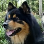 Gerry Hill - @gerry.hill - Instagram