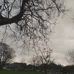 Jerry in Ireland - @jerry_in_ireland - Instagram