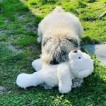 Gerry Leonard - @gerry_leonardd - Instagram