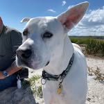 Gerry Leonard Norwood - @gerryleonardnorwood - Instagram