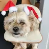 Gerri MacDonald - @gerrimacdonald - TikTok