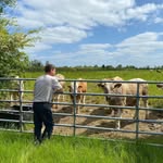 Gerry Madden - @gerrymadden2 - Instagram