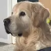 gerrymasonrolls - @gerrymasonrolls - TikTok