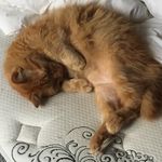 Gerry McDonald - @gerry_mcdonald - Instagram