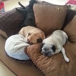Jerry McLean - @jerry_mclean - Instagram