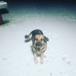 Gerry Mc Phillips - @gerry.mcphillips - Instagram