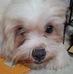 Gerry Moral - Facebook