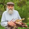 Gerry Molloy - @gerry.molloy4 - TikTok