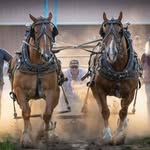 Gerry Payne - @gerrypayne3 - Instagram