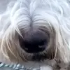 gerrypayne - @gerryfpy39p - TikTok