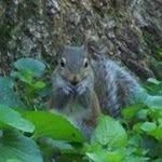 Jerry Payne - @payne.jerry - Instagram