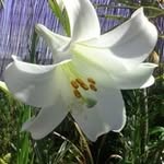 Gerry Peterson - @gerry.peterson - Instagram