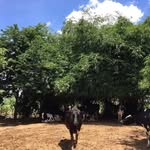 Gerry Peterson - @gerrypeterson1 - Instagram