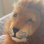 Jerry Richter - @jerrald_richter_ii - Instagram