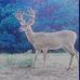 Gerald Ricketts - Facebook