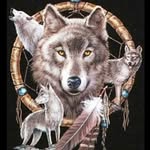 Jerry Ricketts - @fox32269 - Instagram
