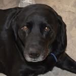 Gerry Riddler - @gerryriddler - Instagram