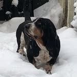 Gerry Rogers - @gerryrogers2509 - Instagram
