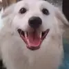 Gerry - @gerry.rojas7 - TikTok
