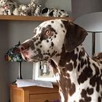 Gerry Simmons - Facebook