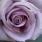 Gerry Stanton - Facebook
