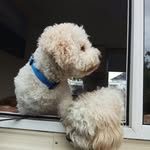 gerry walsh - @gerrywalsh2024 - Instagram