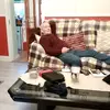 Gerry Walsh - @gerrywalsh3 - TikTok