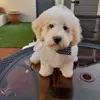 Gerry Walsh - @gerry.walsh4 - TikTok