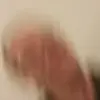 Gerry Wilders - @gerrywilders - TikTok