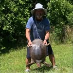 Gerry Wilson - @gerry.wilson.771 - Instagram