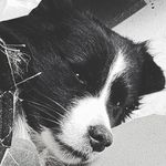 Gerry Wilson - @gerry.wilson.7547 - Instagram