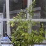 Gerry Wilson - @gerrywilson5737 - Instagram