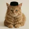 Gerry young - @gerry.young0 - TikTok